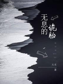 一场华丽冒险