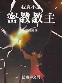 王牌高手