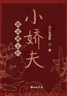 守护甜心之梦将永存
