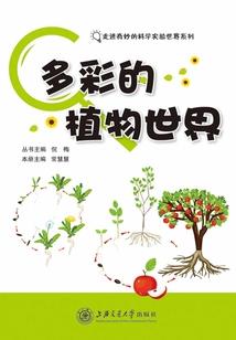大明第一相