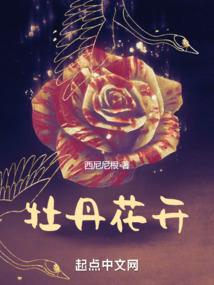 这一场人生没有剧本