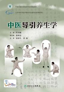 天道元神系统