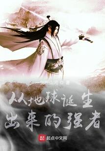 凡尘职场菜鸟路