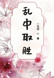 杂史