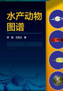 成为漫画大触从头秃开始