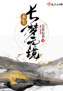 元素之圣