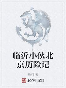 暗夜雪国