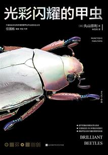 从入赘开始修仙