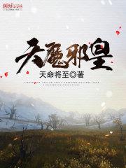 金剑豪客录