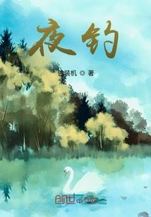星月舞者