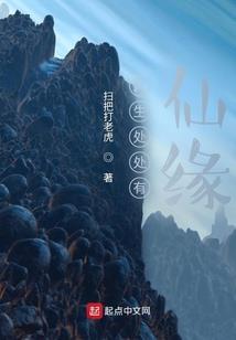 悟空皆为空