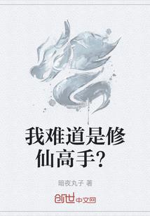 宅男的综漫美学
