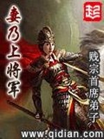 傻女爱上天才男