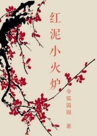 11笔记本