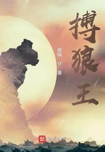 梦之星芒