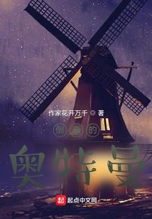 极品任务攻略