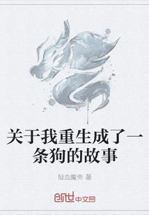 反思十年