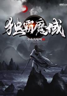 流浪王者