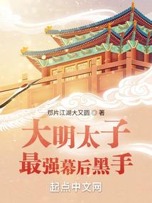 881工程之夜狸猫