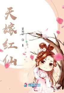 天书化道