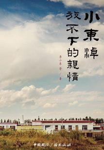 前妻太动人：总裁，复婚请排队(合作)