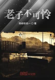 四域忍度