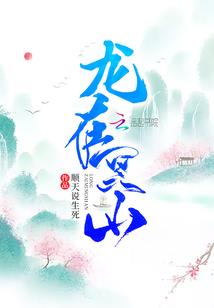 仙逸之光