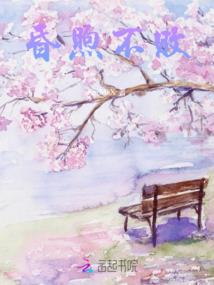踏向最强之路