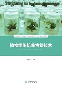 嫁给你，只因我爱你