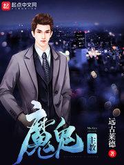 沙洲之鸥