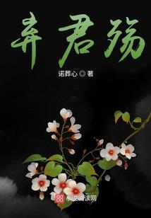 车手的热血青春