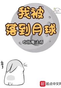反叛之第一骑士