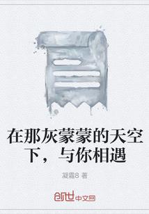未来的阴阳师
