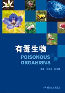 王子爱上公主！