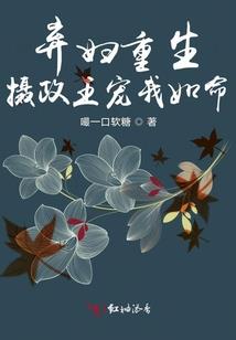 大话西游之射影人生