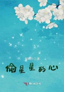 神奇宝贝之芽衣的冒险