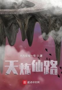 侠盗名剑实录