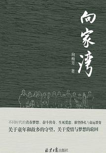 蜻蜓之眼