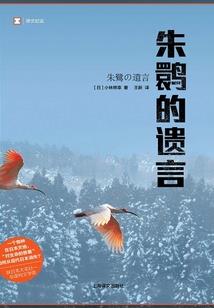 踏天狂龙
