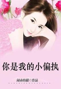 名侦探柯南之正义之矛
