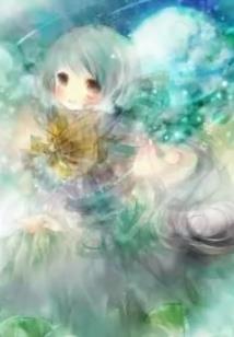 海贼王之最强王者