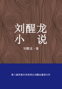 苍穹忆仙