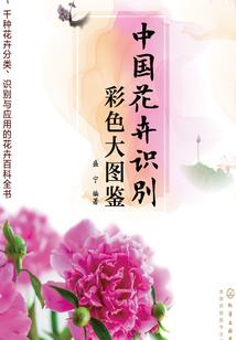 末世轮转