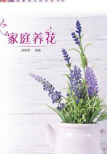 都市之修真时代