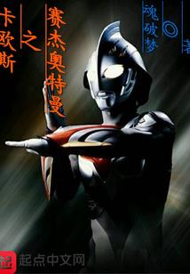 调查员手册