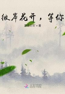 穿梭在世界的训练家
