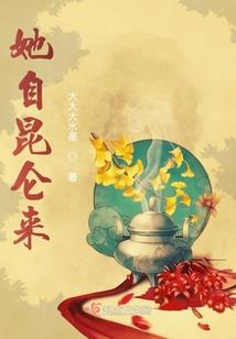 终极猪皮之剑指天涯