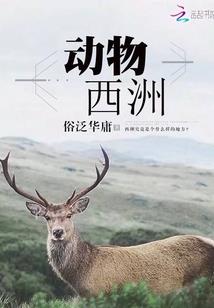 无限动漫之路