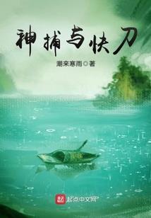 这手笔也太大了