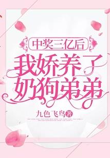 无限之天使翅膀